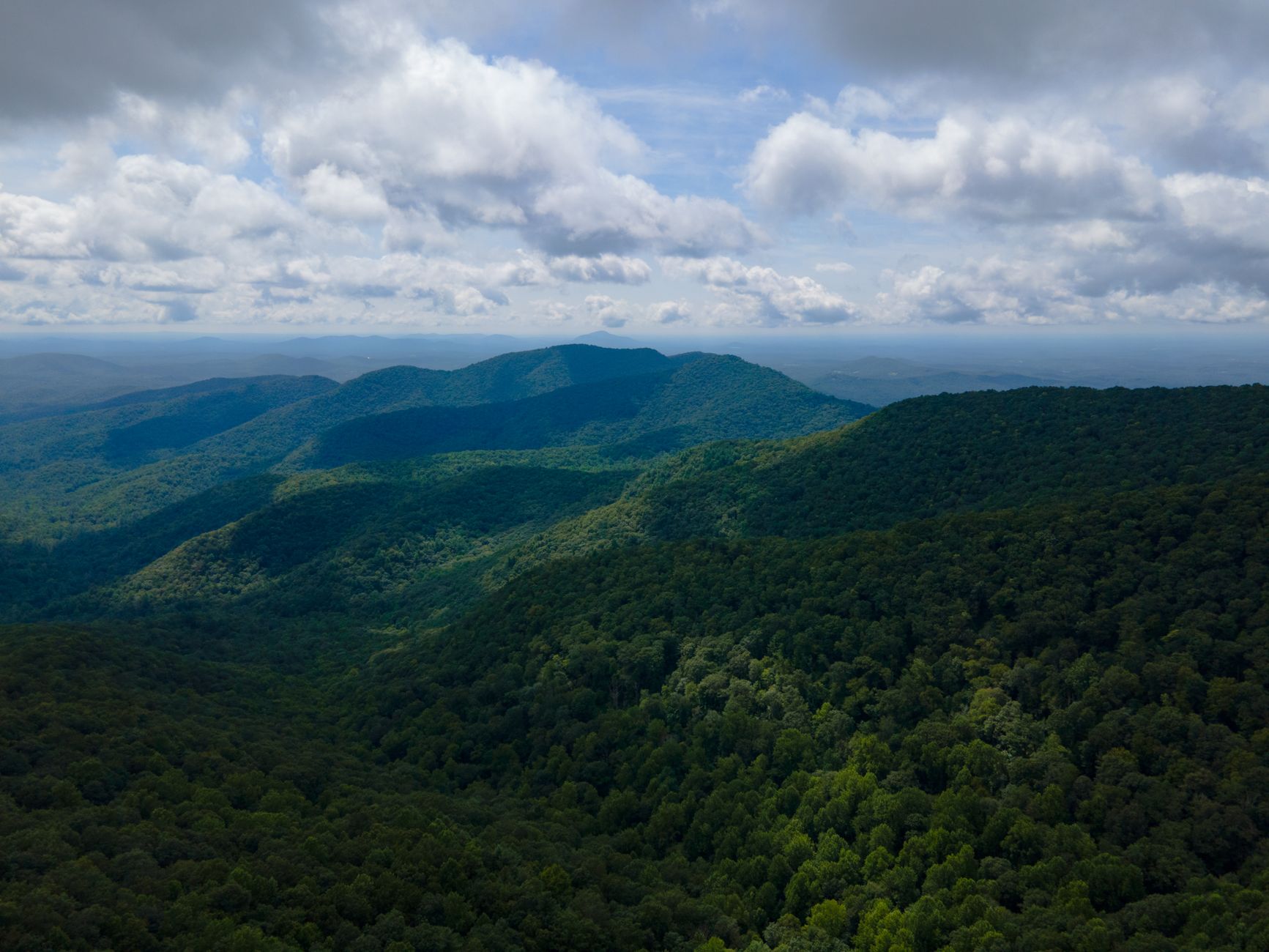rolling forested mountains